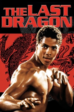 watch-The Last Dragon