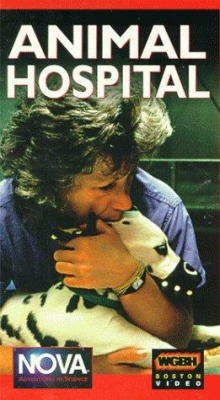 watch-Animal Hospital