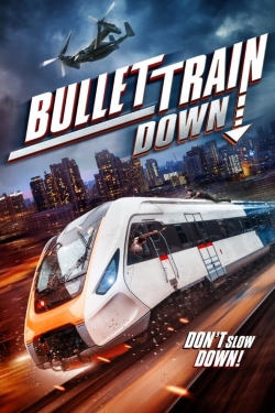 watch-Bullet Train Down