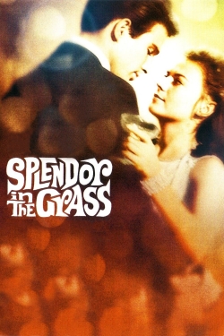 watch-Splendor in the Grass