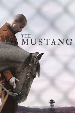 watch-The Mustang