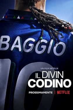 watch-Baggio: The Divine Ponytail