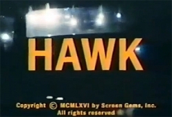 watch-Hawk