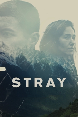 watch-Stray