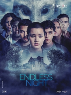 watch-Endless Night