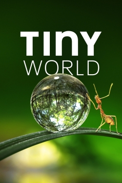 watch-Tiny World